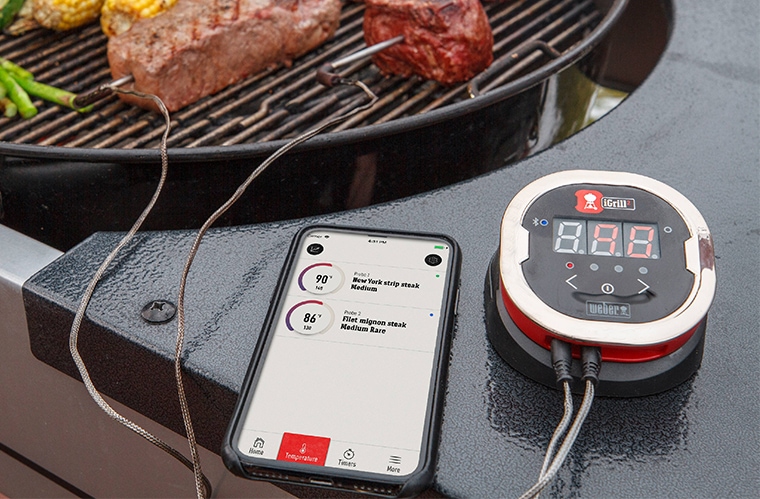 Weber iGrill 2 Review